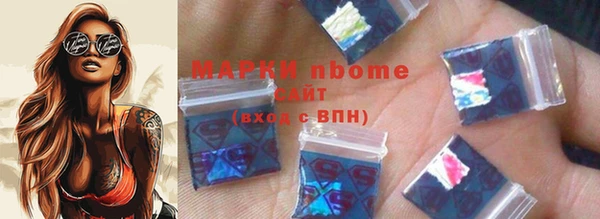 индика Горняк