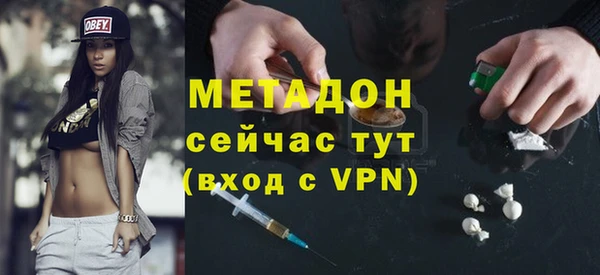индика Горняк