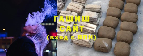 индика Горняк