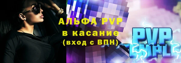 индика Горняк