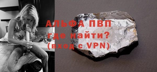 индика Горняк